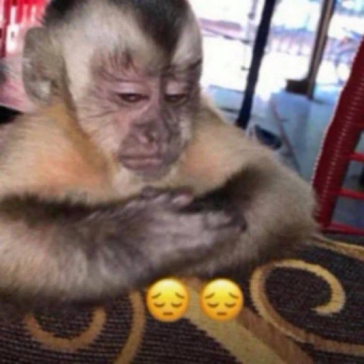 monito triste